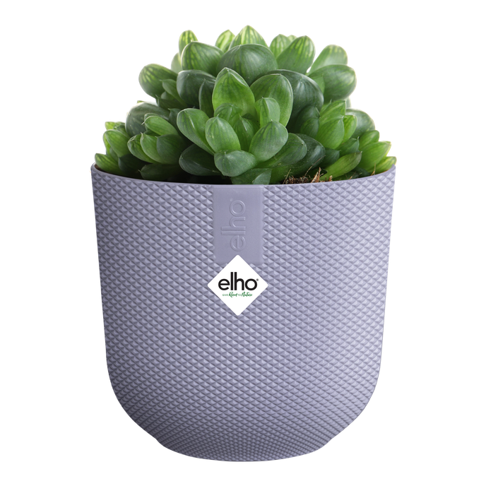 jazz rond mini 9cm lavande lilas